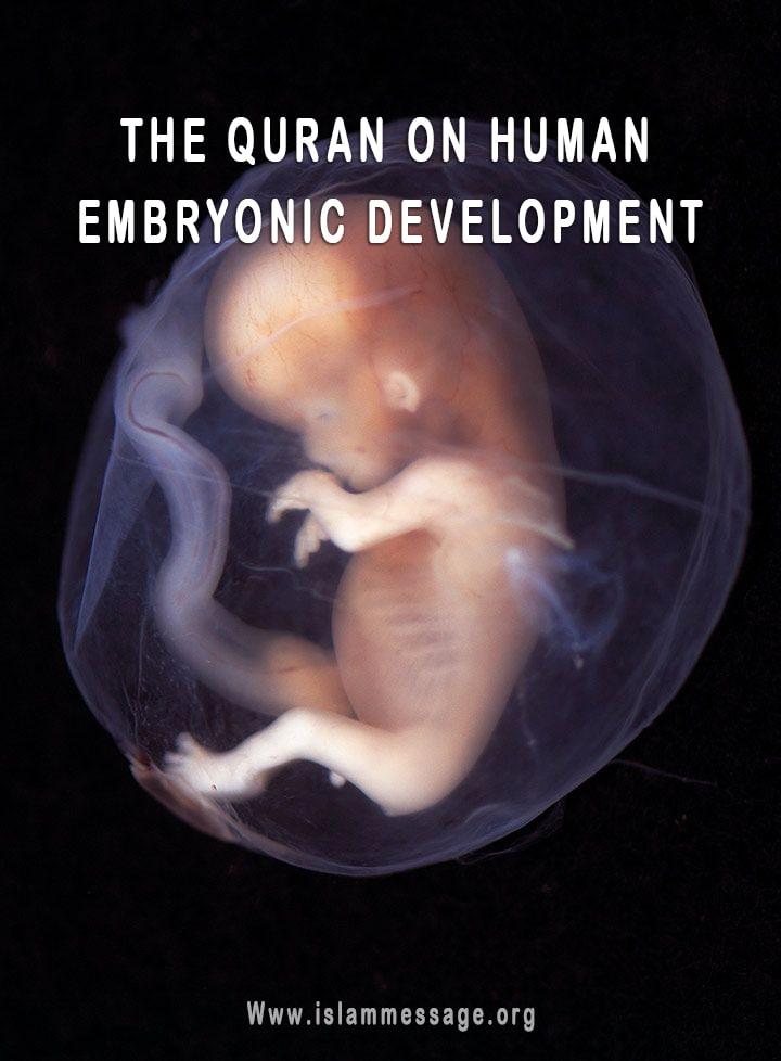 THE QURAN ON HUMAN EMBRYONIC DEVELOPMENT