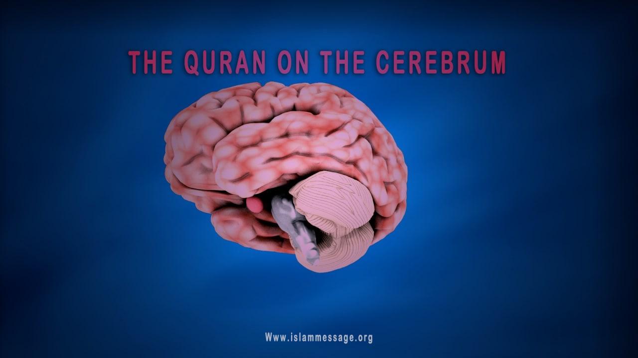 THE QURAN ON THE CEREBRUM