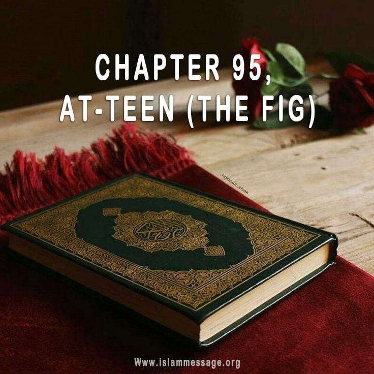 CHAPTER 95, AT-TEEN (THE FIG)