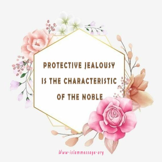  Protective Jealousy is the Characteristic of the Noble