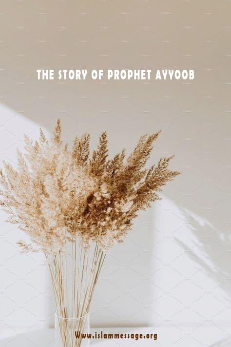 The story of Prophet Ayyoob