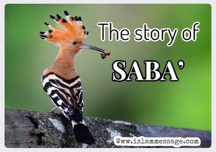 The story of Saba’