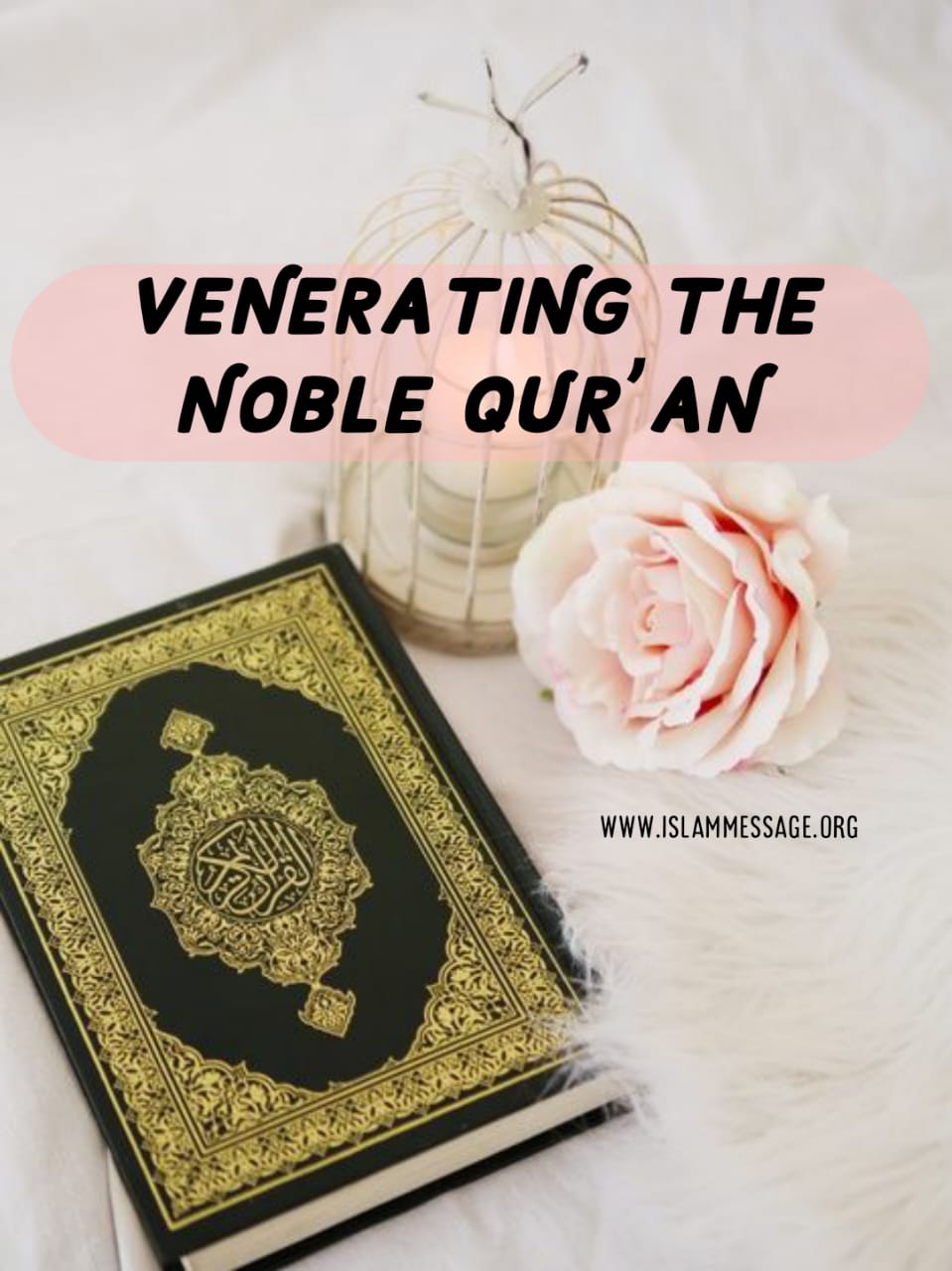 Venerating the Noble Qur’an